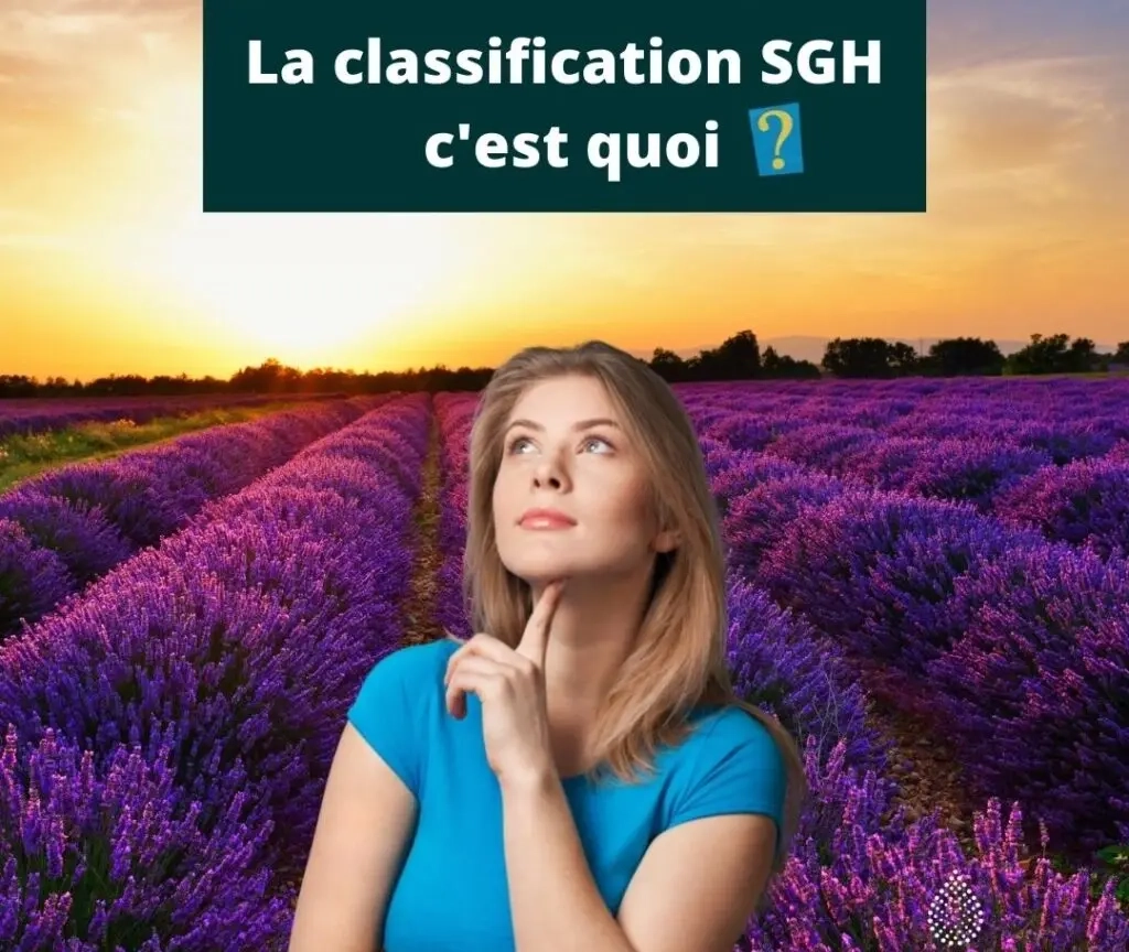 Image fictive signifiant que l'image n'a pas été renseignée Classification SGH des huiles essentielles : guide réglementaire