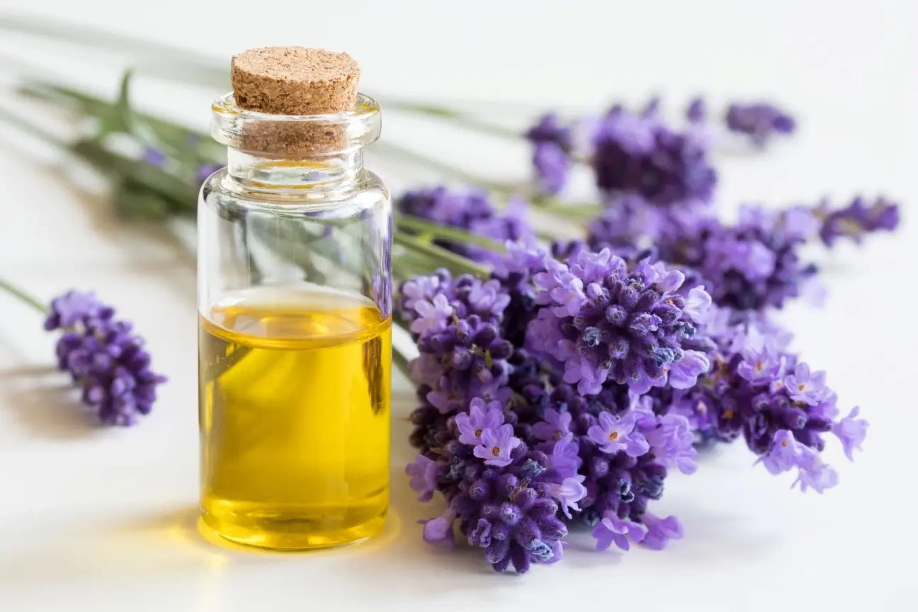 Placeholder image meaning the image has not been filled in Wholesale essential oils: professional solutions