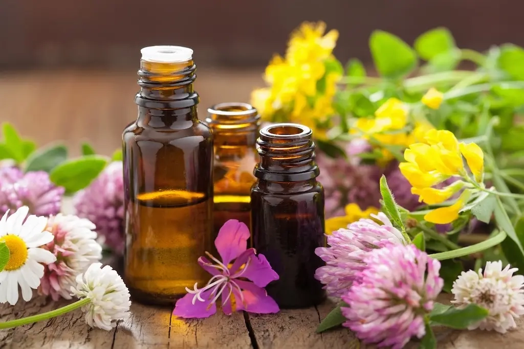 Placeholder image meaning the image has not been filled in Essential oils for well-being: daily protocols
