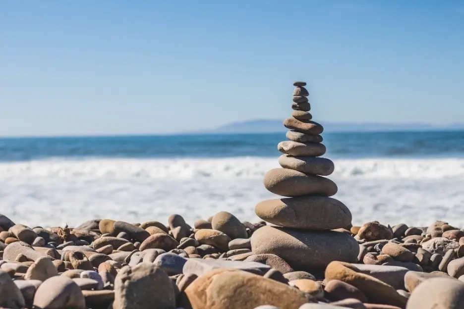 Placeholder image meaning the image has not been filled in Mental health protocols: 5 key essential oils