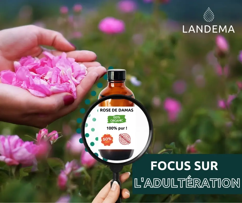 Image fictive signifiant que l'image n'a pas été renseignée Adultération des huiles essentielles : méthodes de détection
