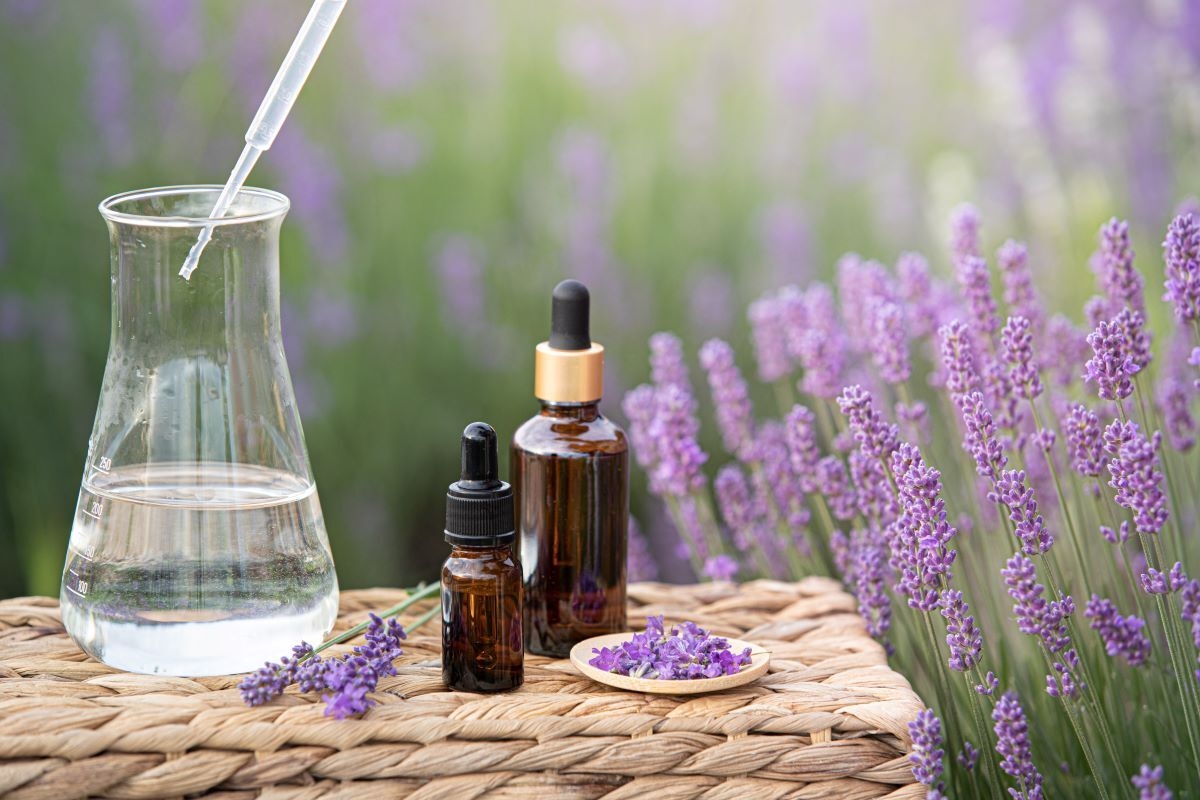 Placeholder image meaning the image has not been filled in A guide to hydrolates: everything you need to know about these natural extracts