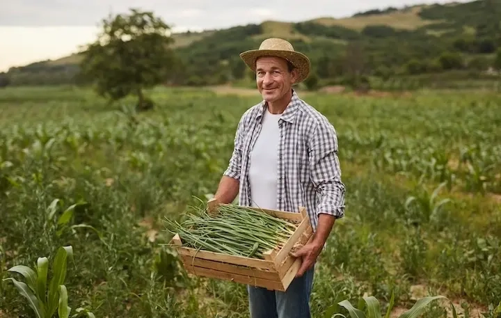 Placeholder image meaning the image has not been filled in Top 5 essential oils for professional organic crops