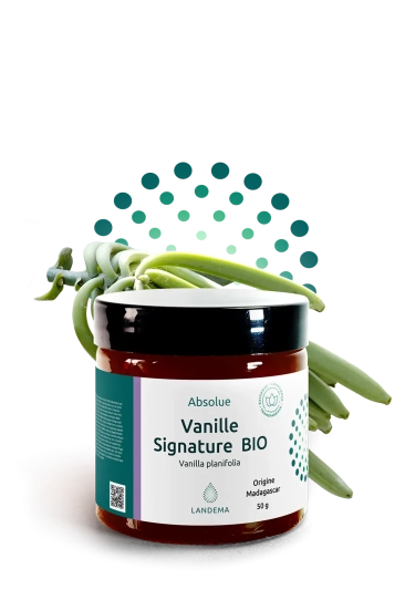 Vanille Signature BIO