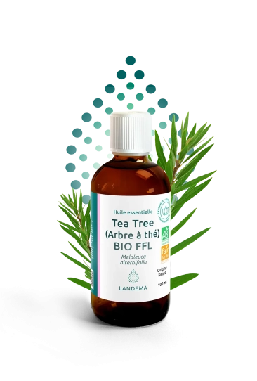 Tea Tree (Arbre à thé) BIO FFL