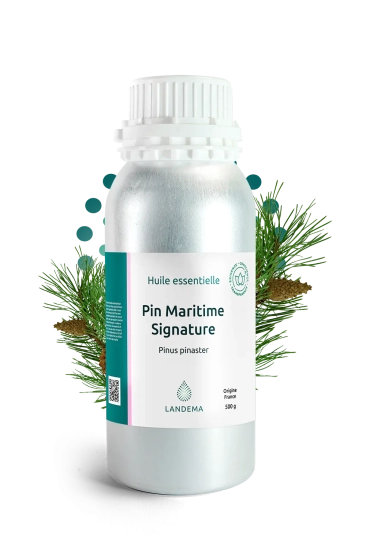 Pin Maritime Signature