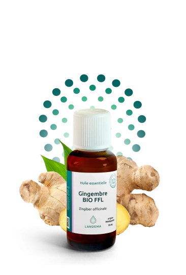 Gingembre BIO FFL