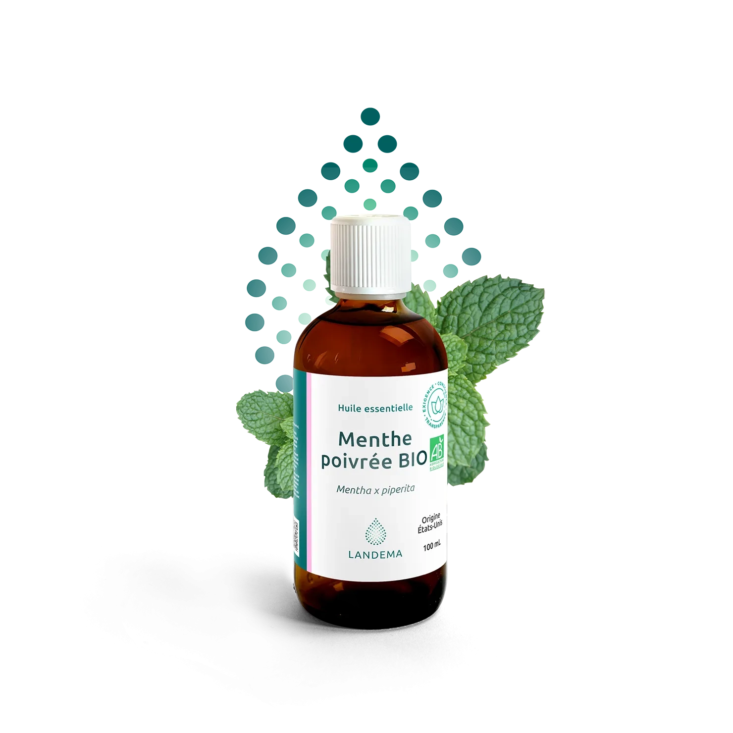 Menthe Poivrée BIO