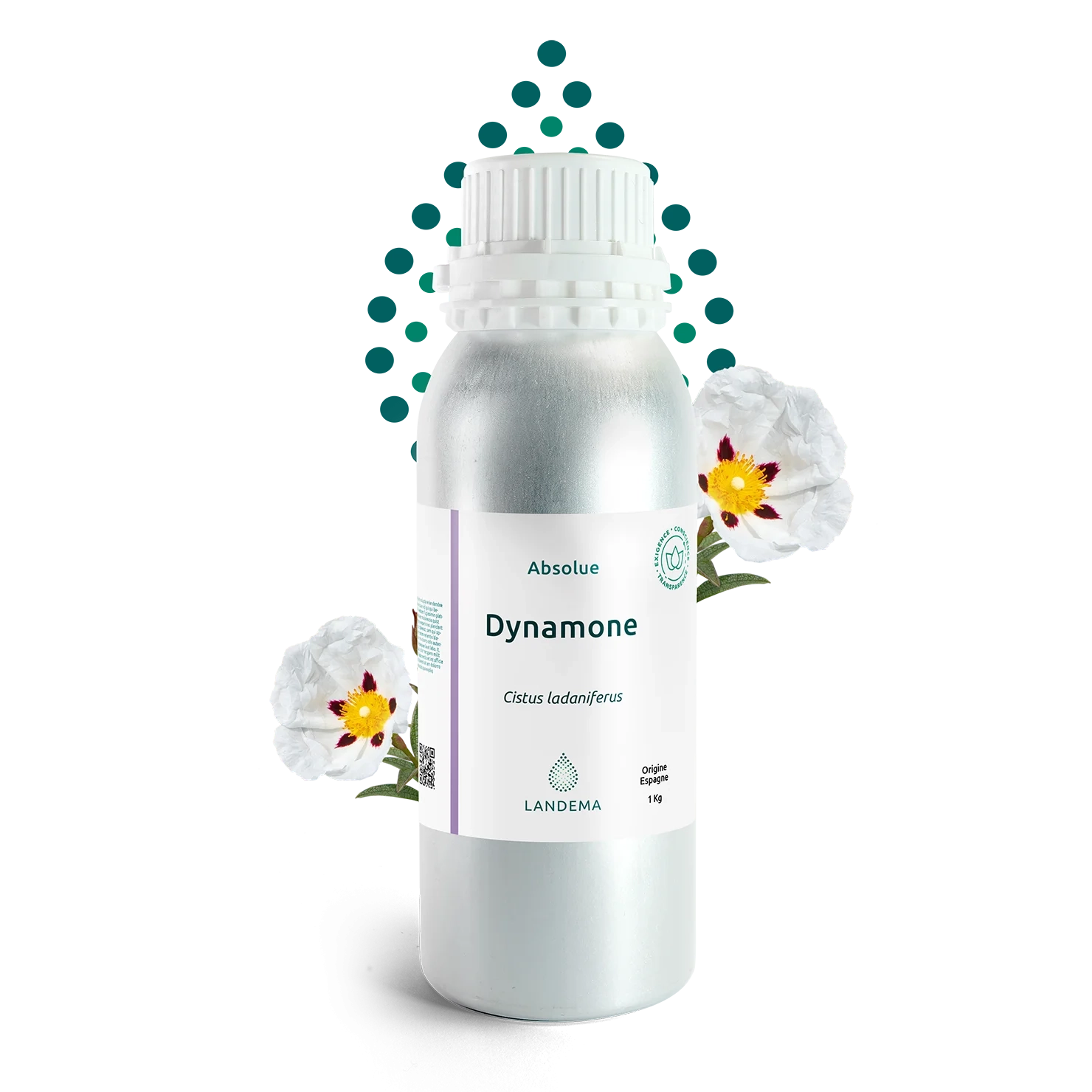 Dynamone