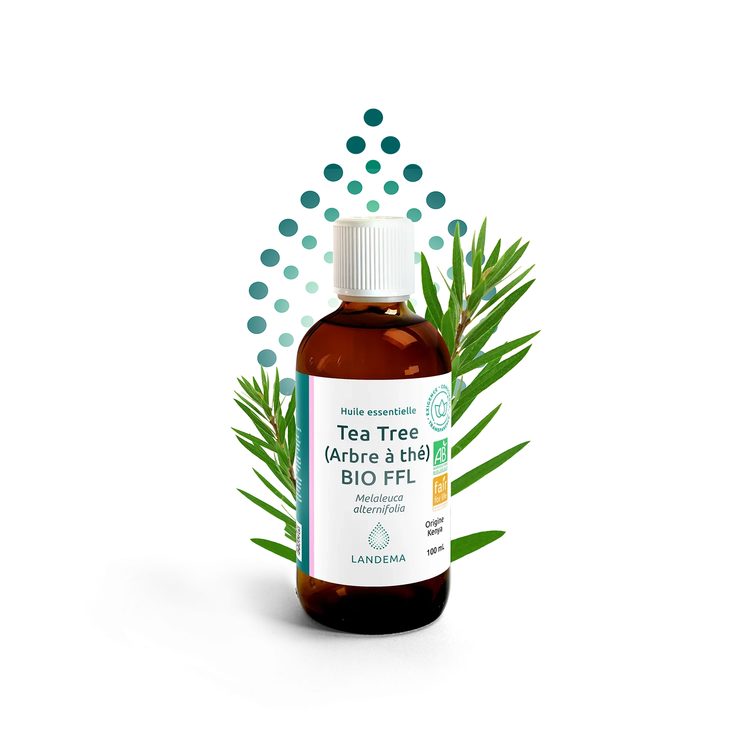 Tea Tree (Arbre à thé) BIO FFL