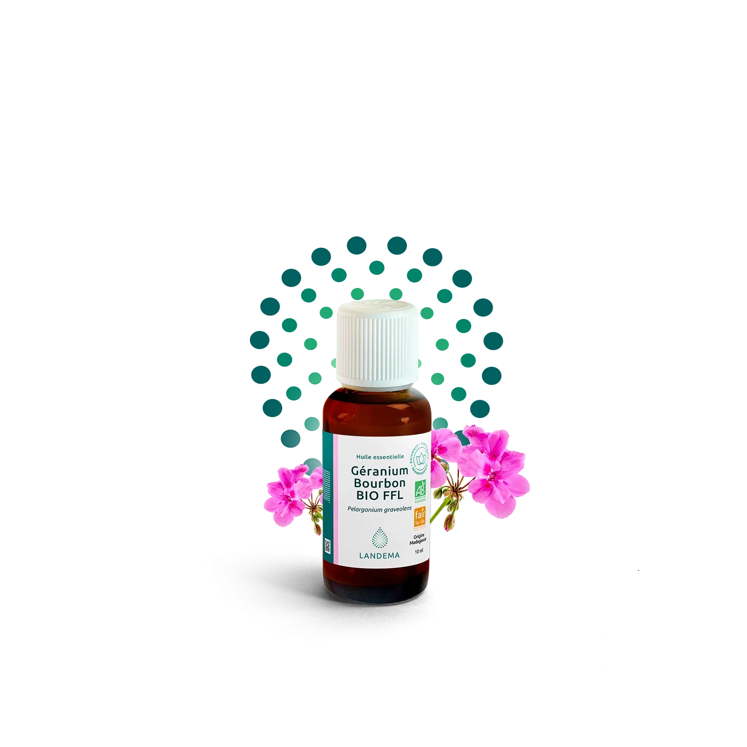 Géranium Bourbon BIO FFL