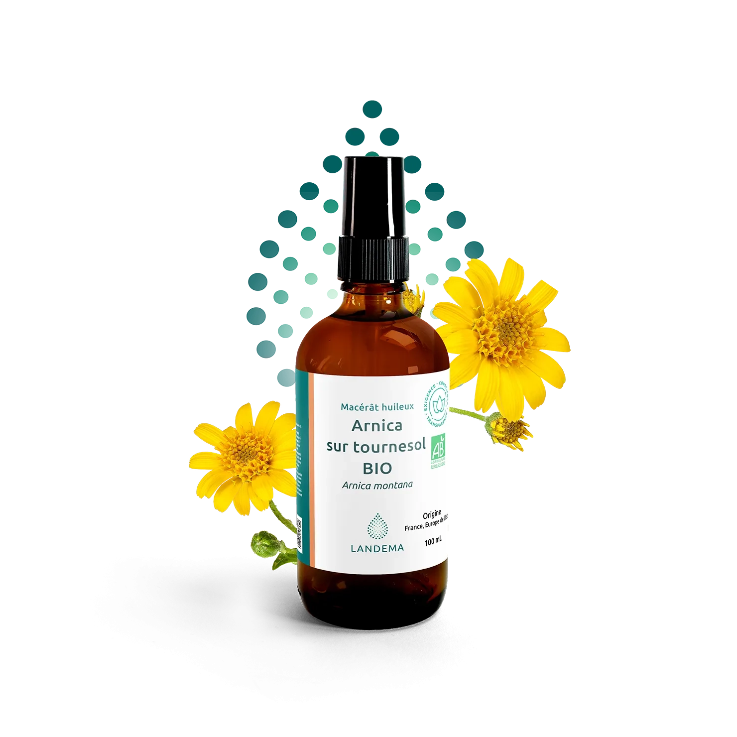 Arnica sur tournesol BIO