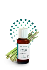 Citronnelle de Java BIO