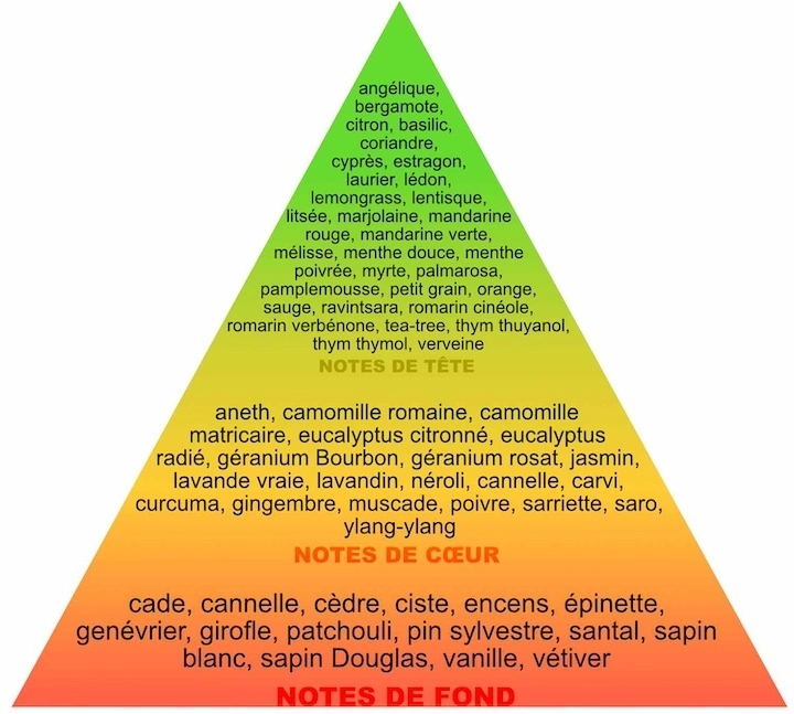 Parfum et huiles essentielles