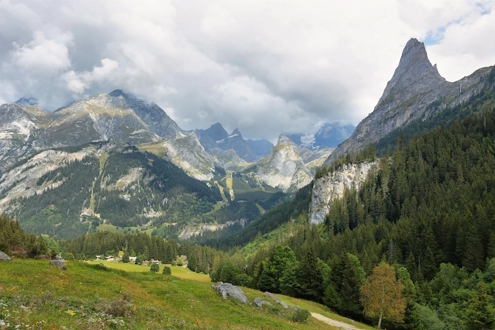 Huiles essentielles françaises