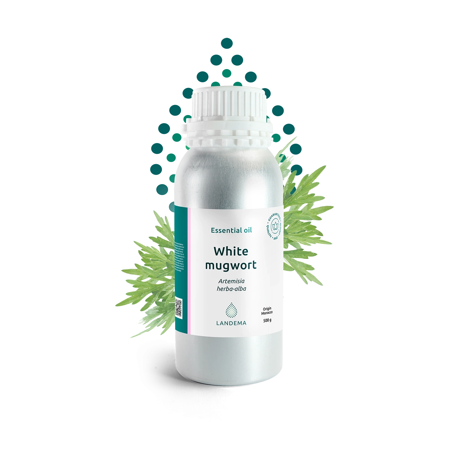White mugwort (Armoise)