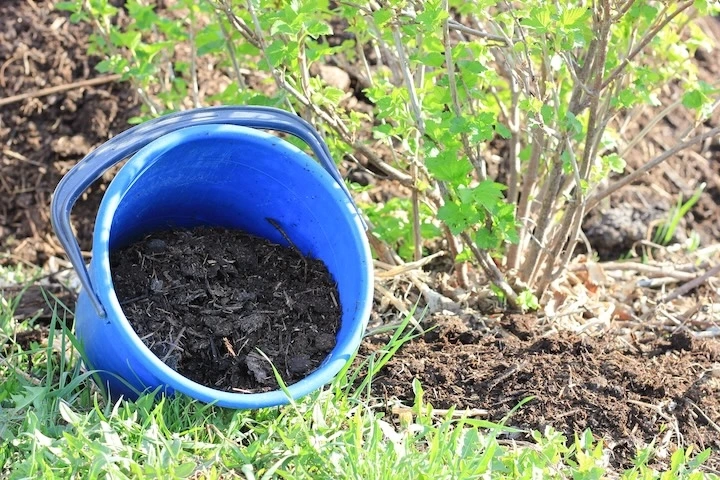 Extraits vegetaux en agriculture bio