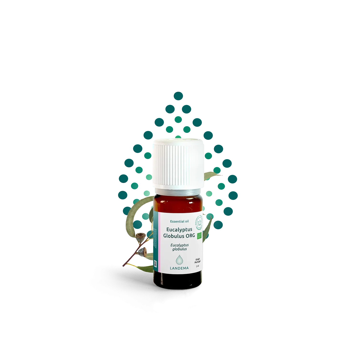 Eucalyptus globulus ORG