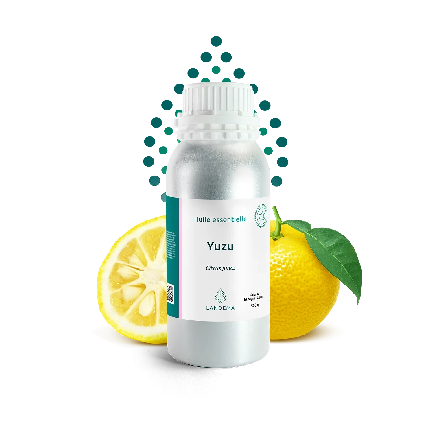 Yuzu