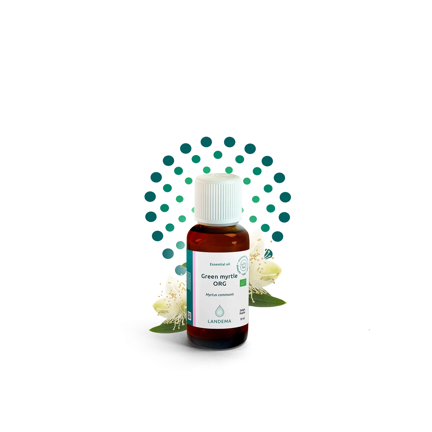 Green myrtle ORG