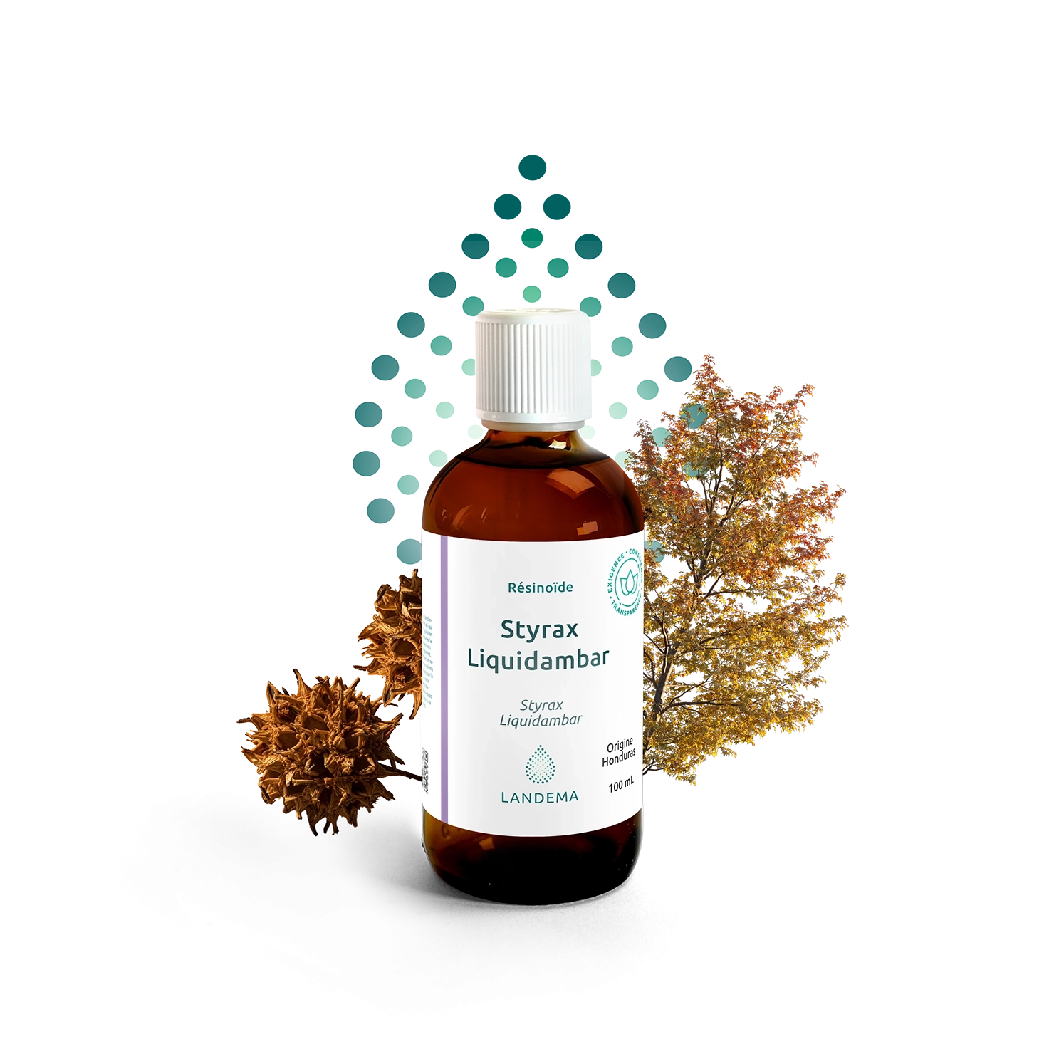 Styrax Liquidambar