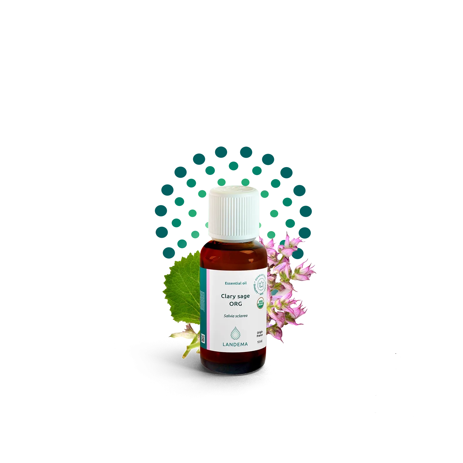 Clary sage ORG