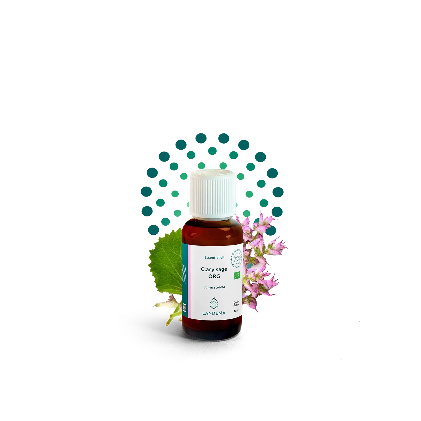 Clary sage ORG