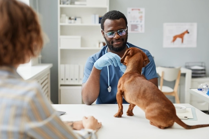 Essential oils for animals