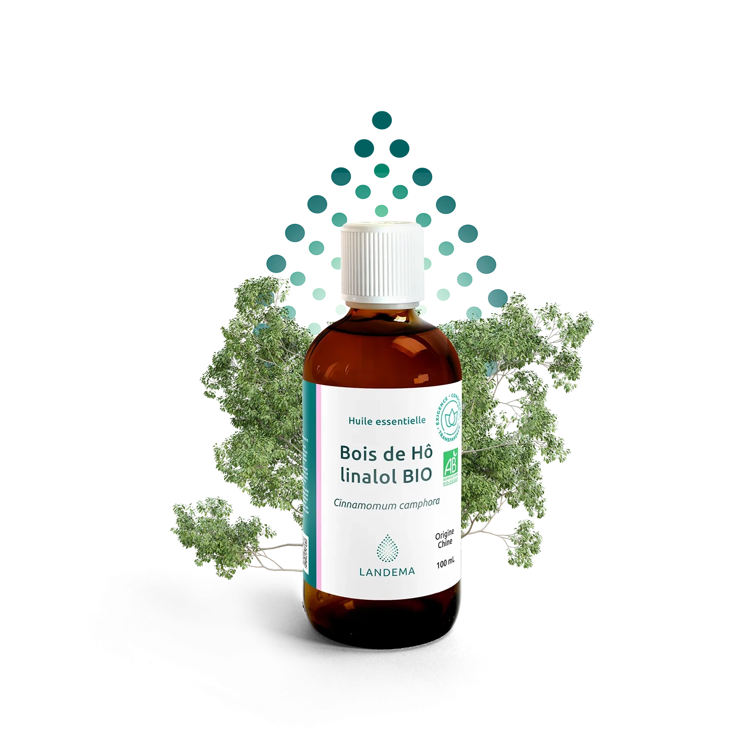 Bois de Hô linalol BIO