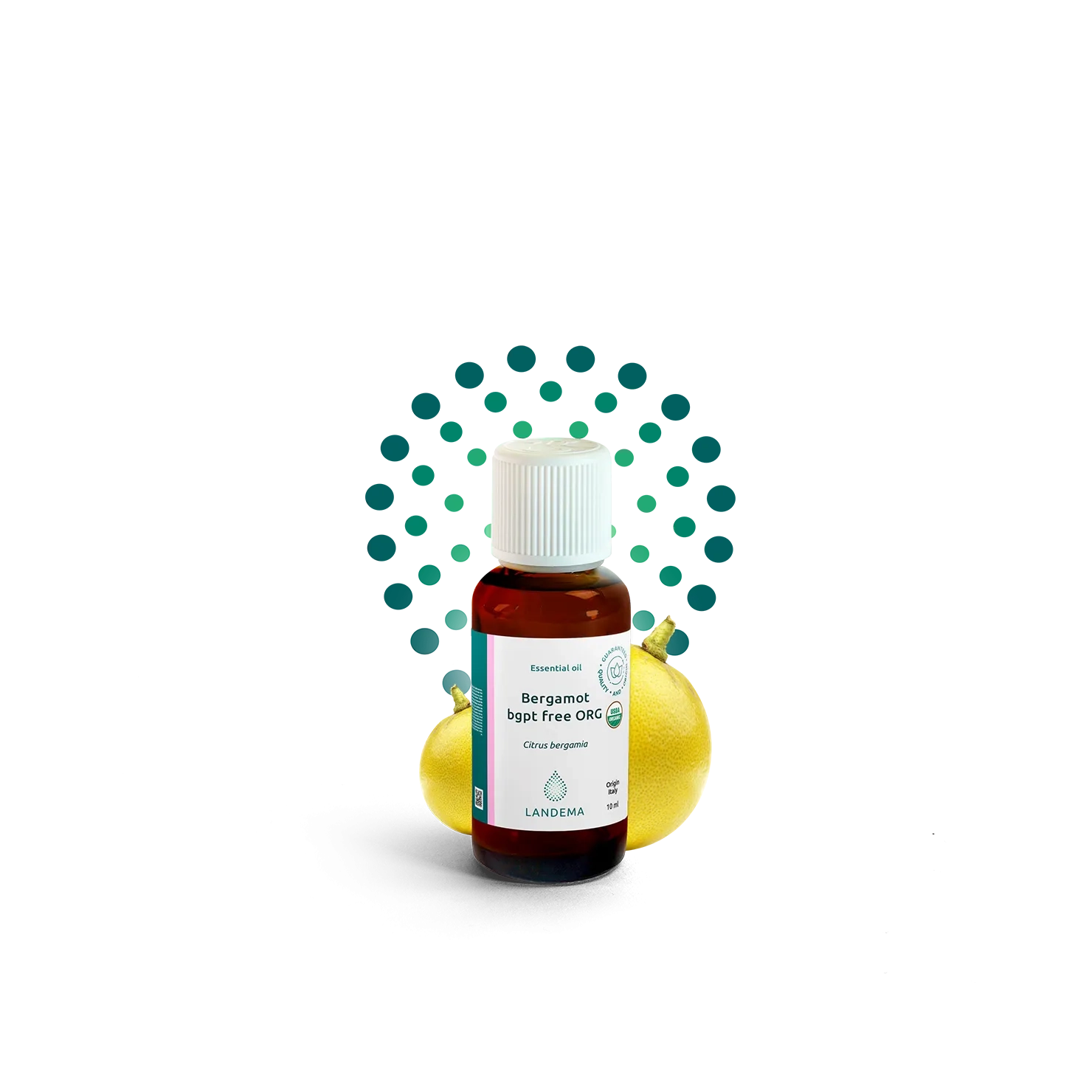 Bergamot bgpt-free ORG