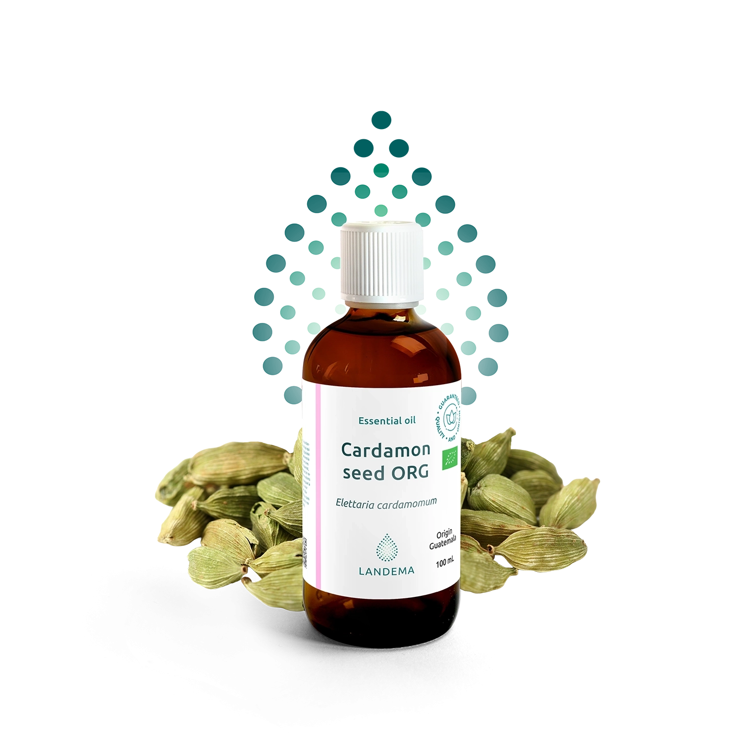 Cardamon Seed