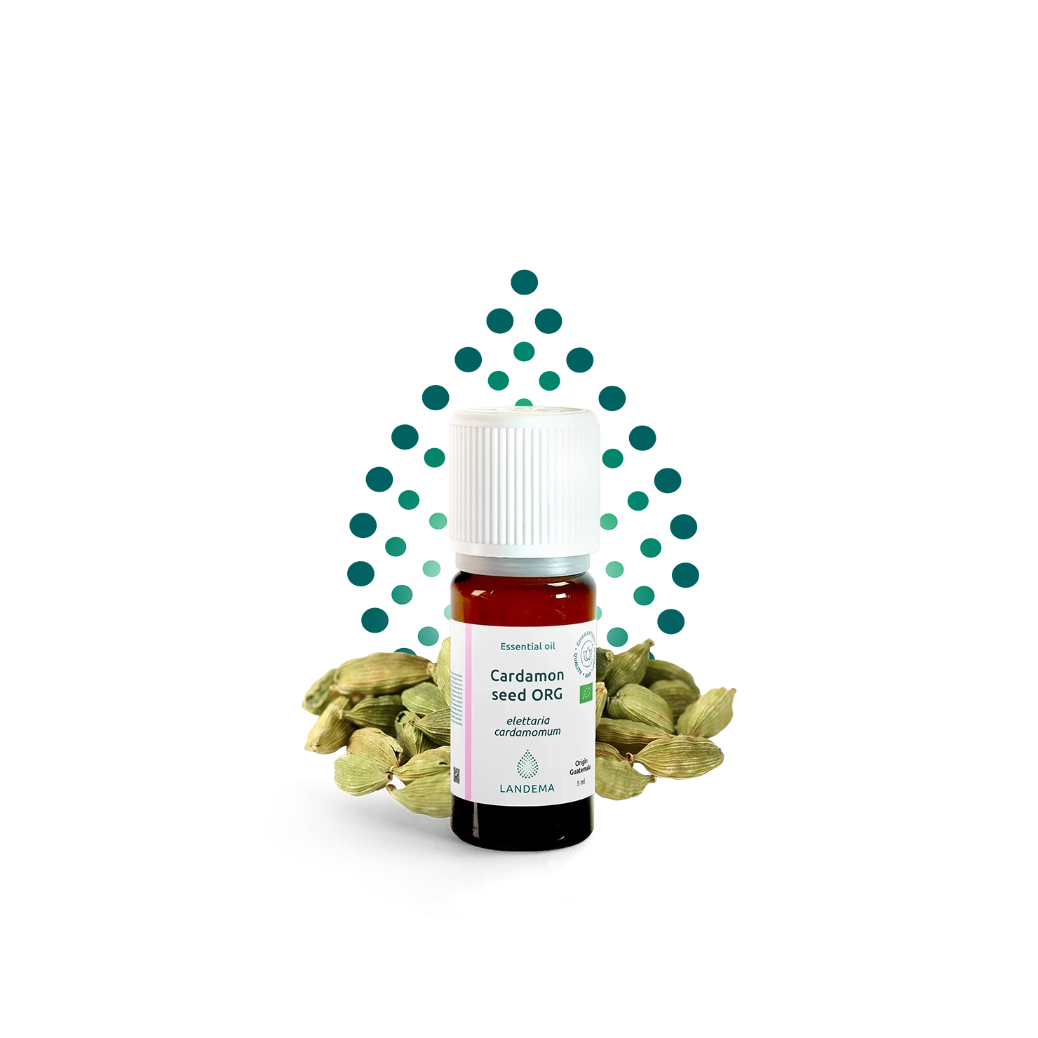 Cardamon Seed