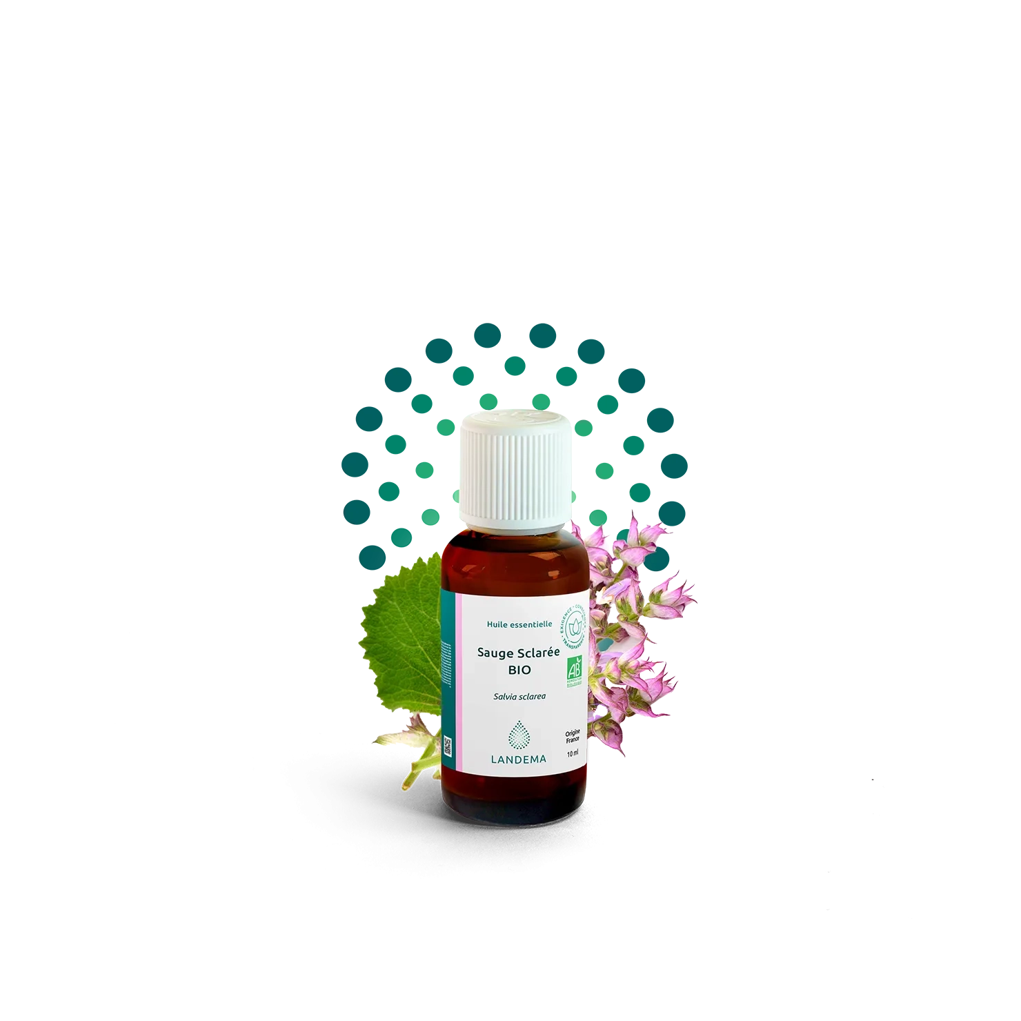 Clary sage ORG