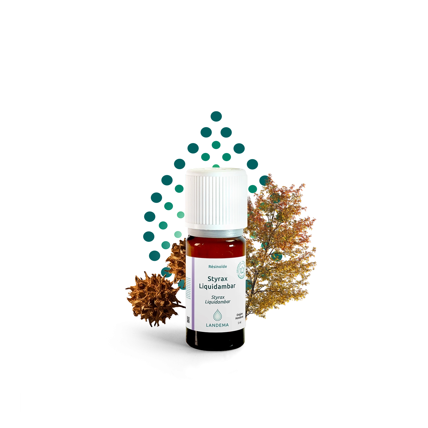 Styrax Liquidambar