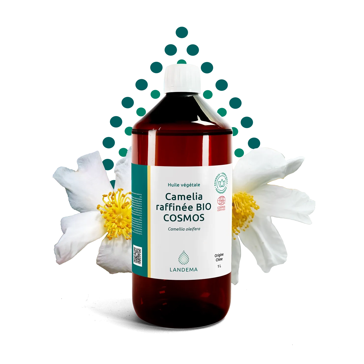 Camelia raffinée bio COSMOS