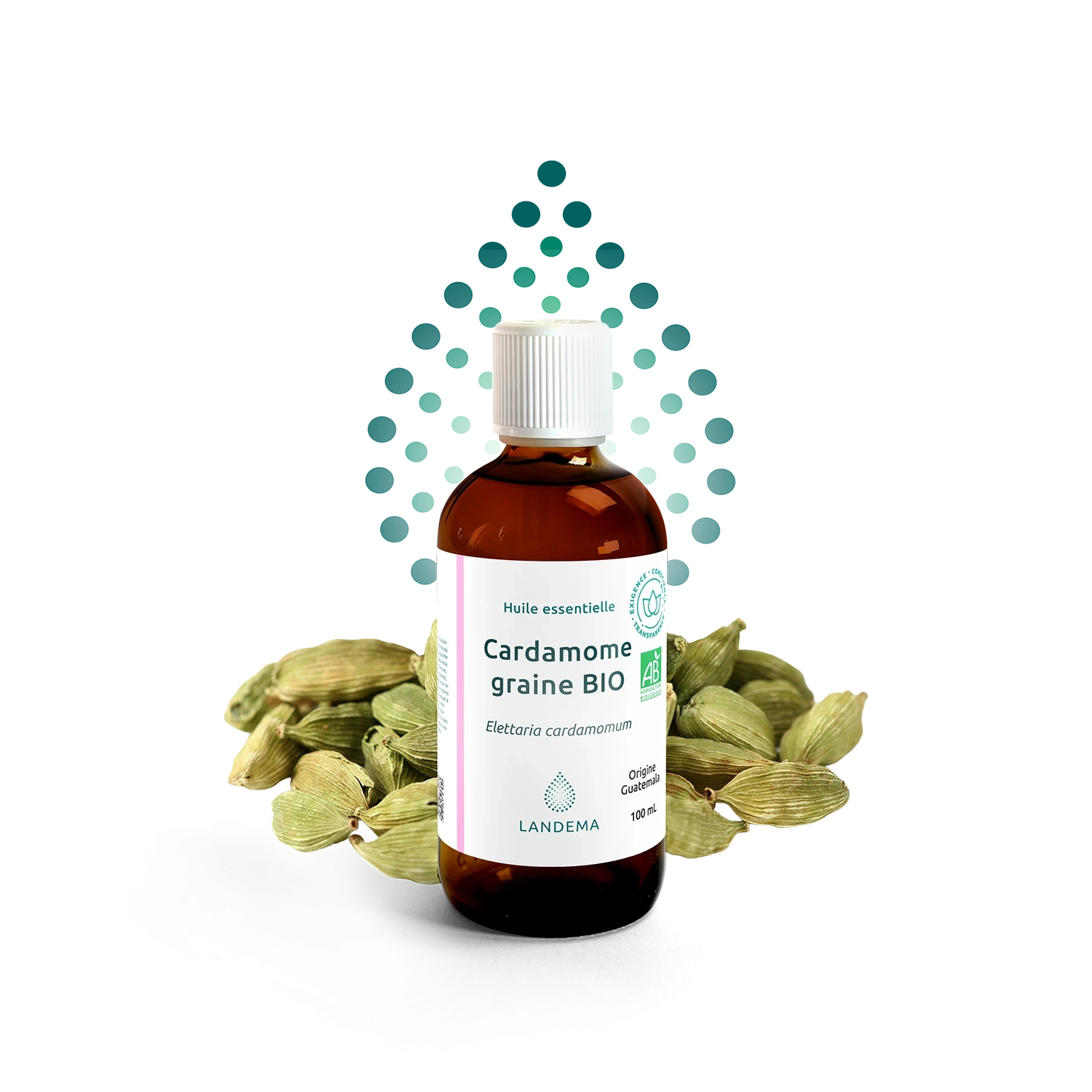 Cardamome Graine