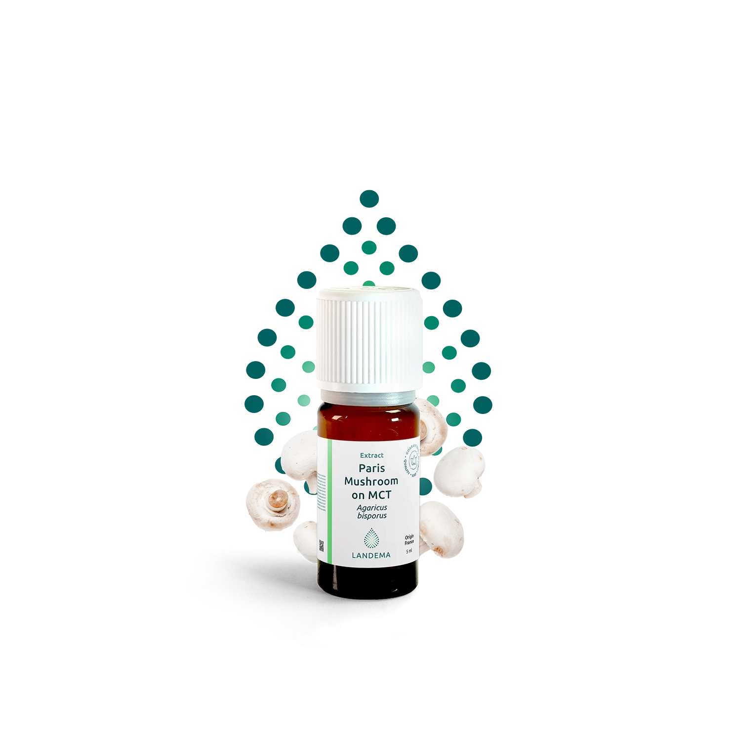 Paris mushroom on MCT