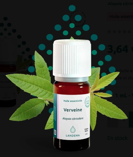 Verveine odorante