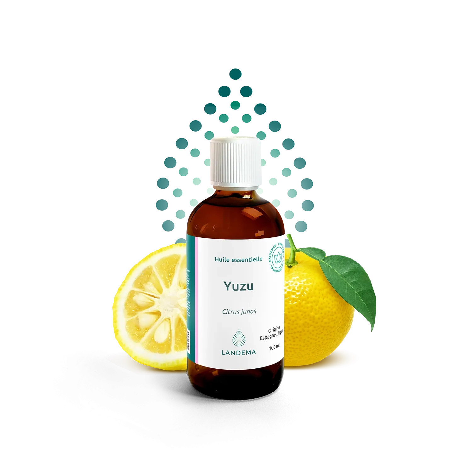 Yuzu