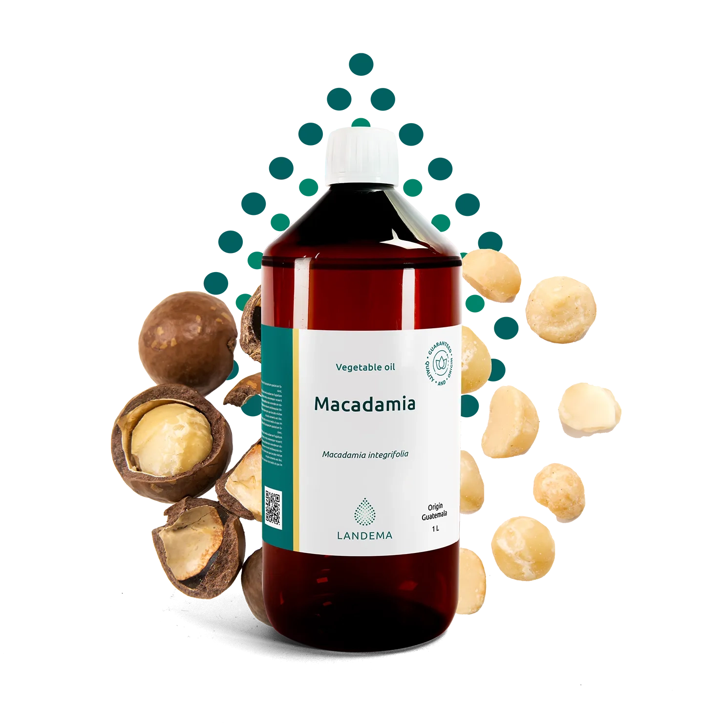 Macadamia
