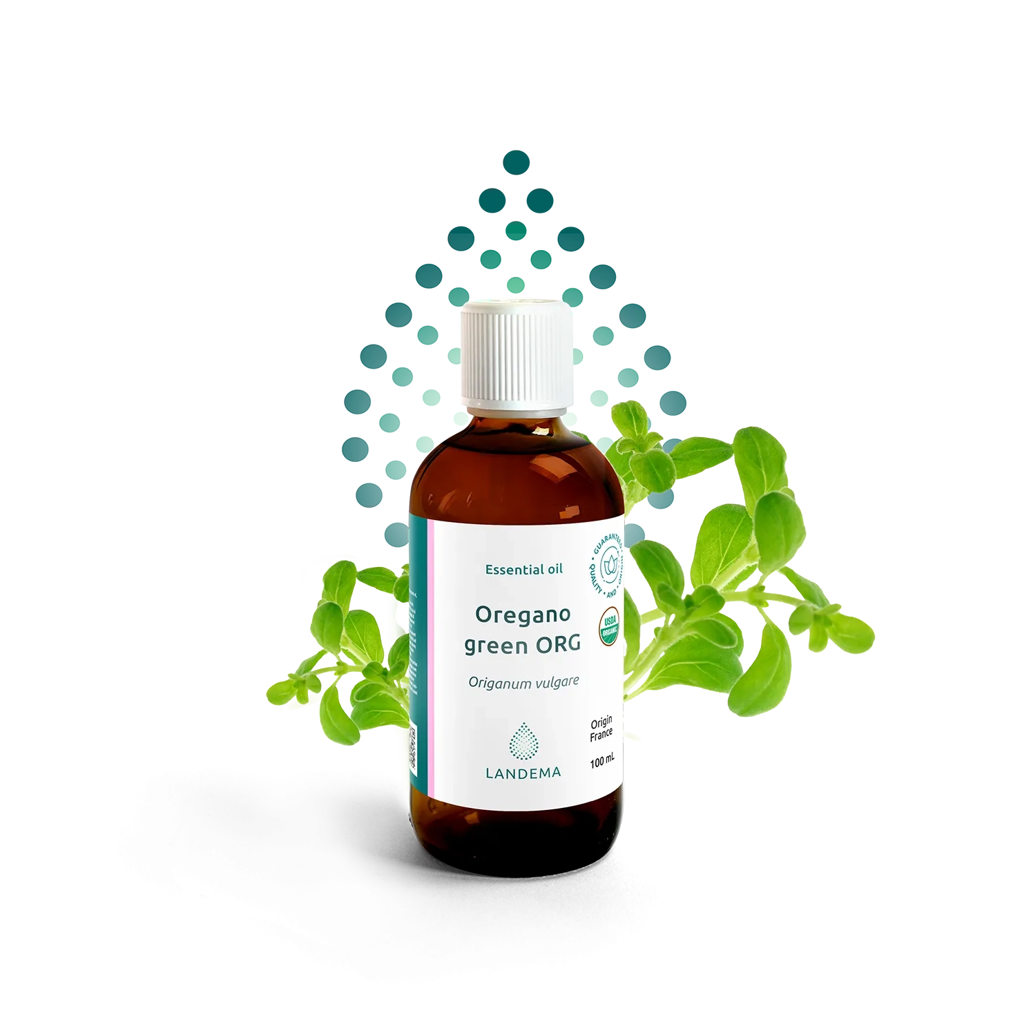 Oregano green ORG