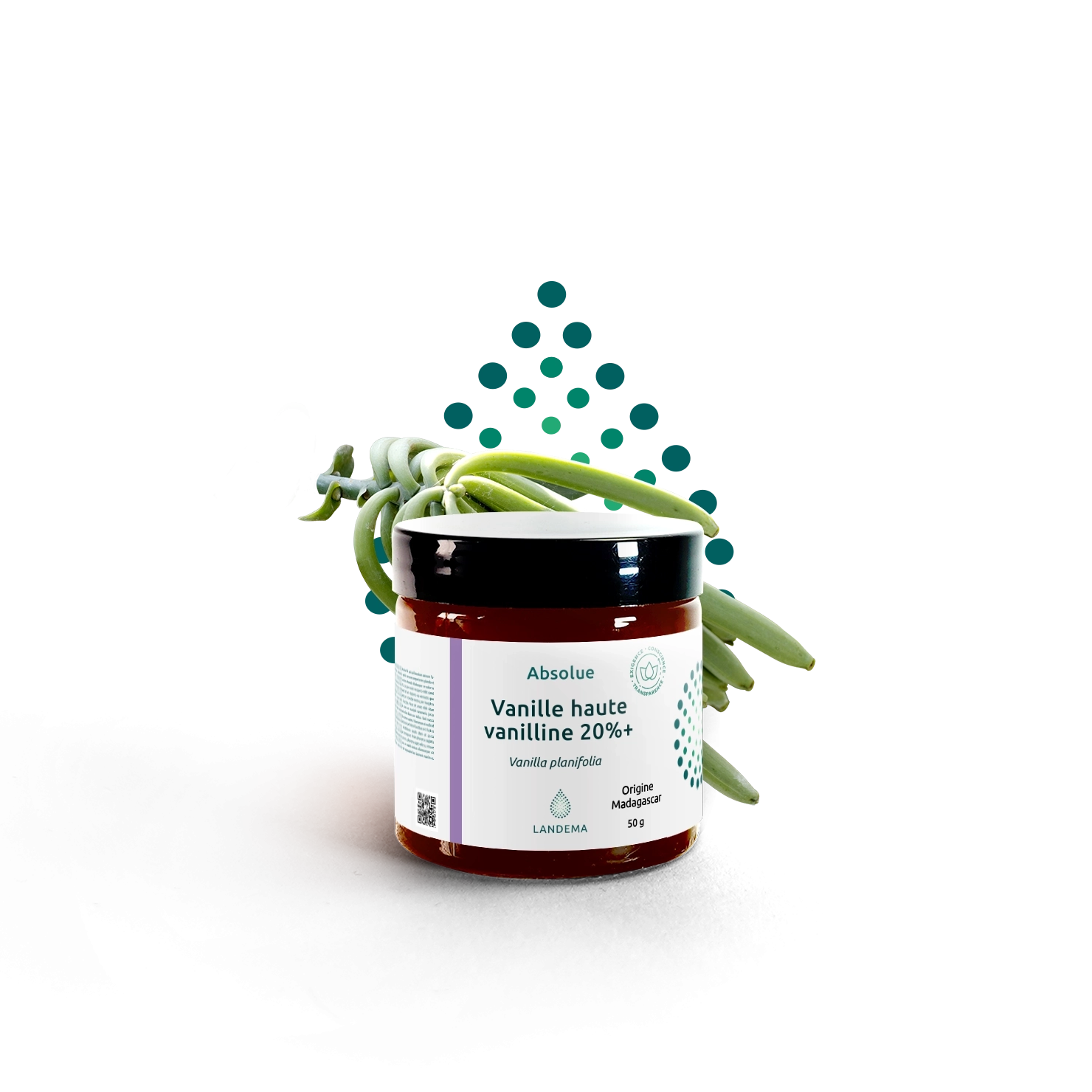 Vanille Haute vanilline 20%+