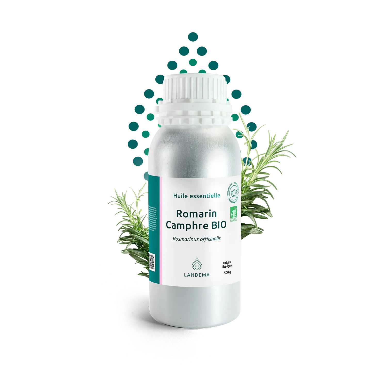 Romarin Camphre BIO