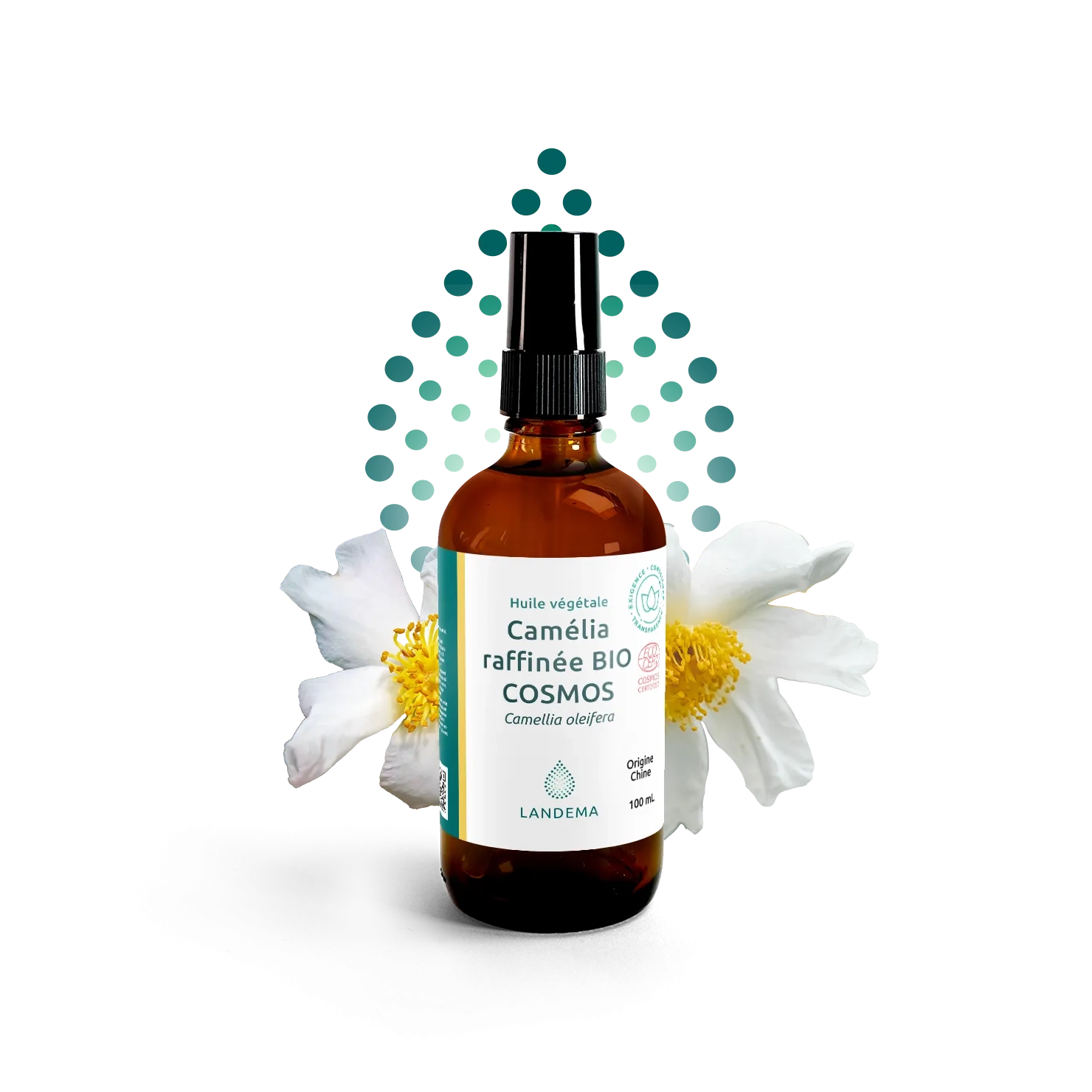 Camelia raffinée bio COSMOS
