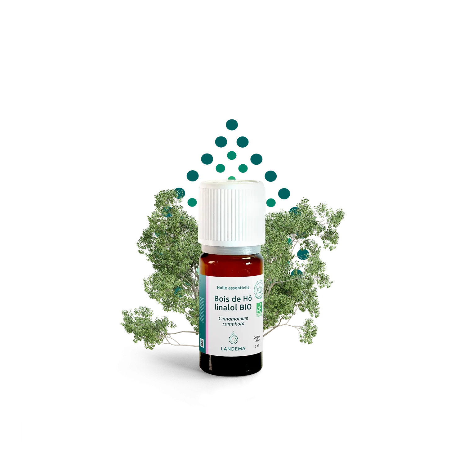 Bois de Hô linalol BIO