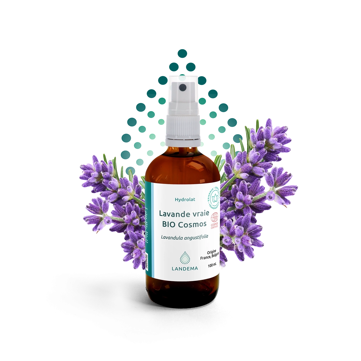 Lavande Vraie Eau Bio COS