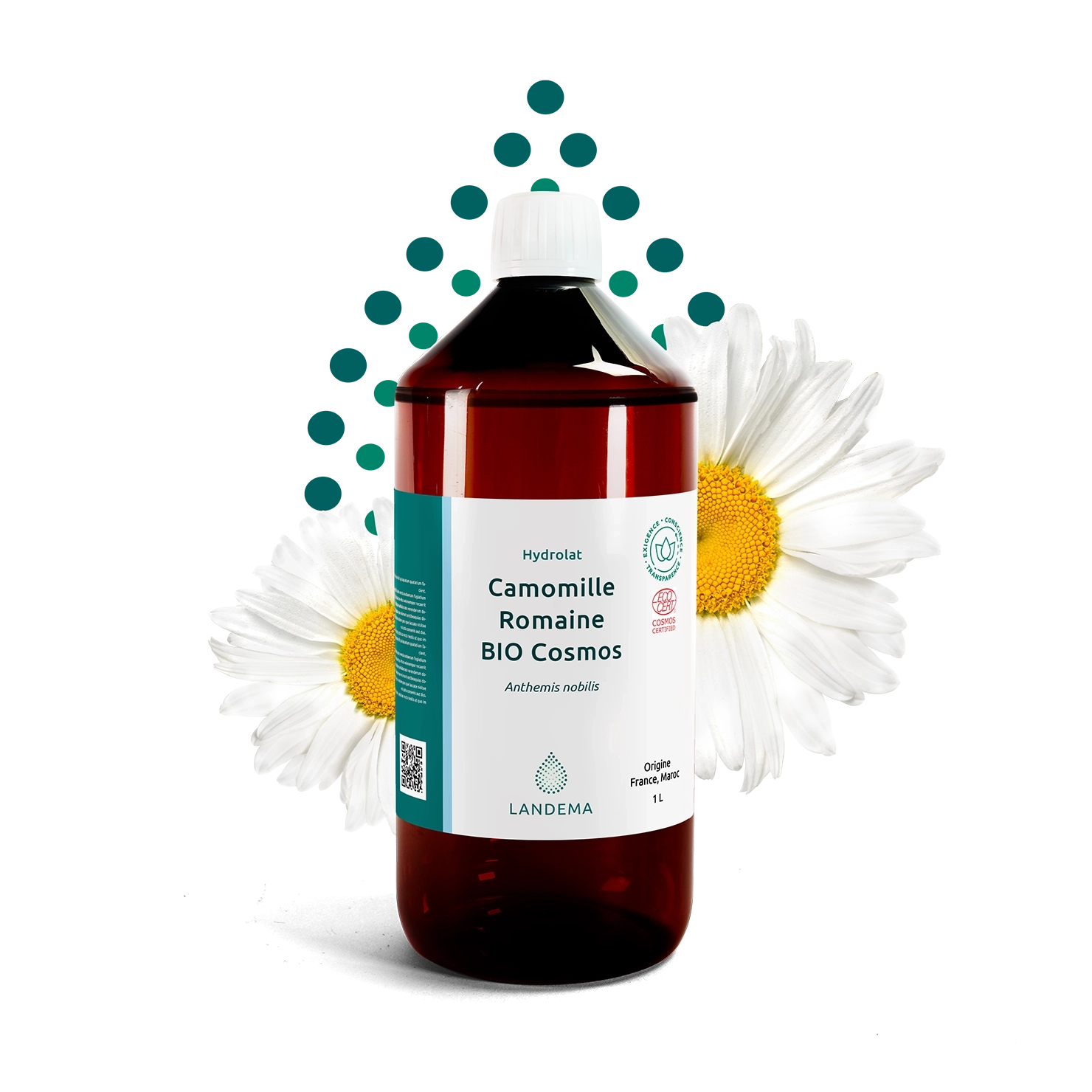Camomille Romaine Bio COSMOS