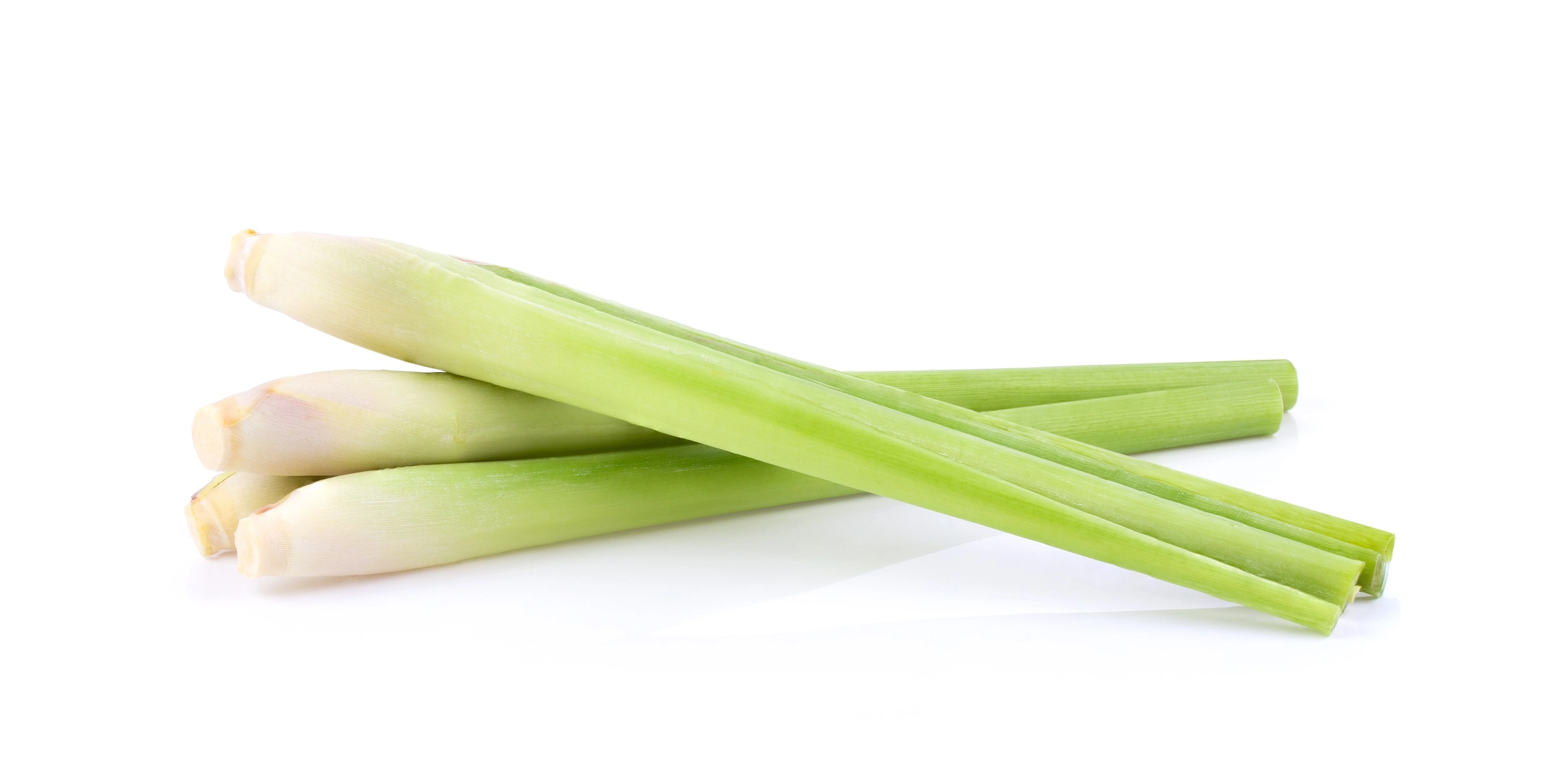 Cymbopogon essential oils