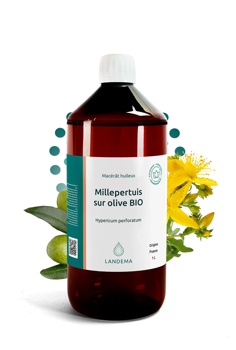 Millepertuis sur olive BIO