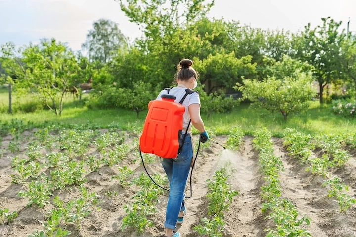 Essential oils for crops